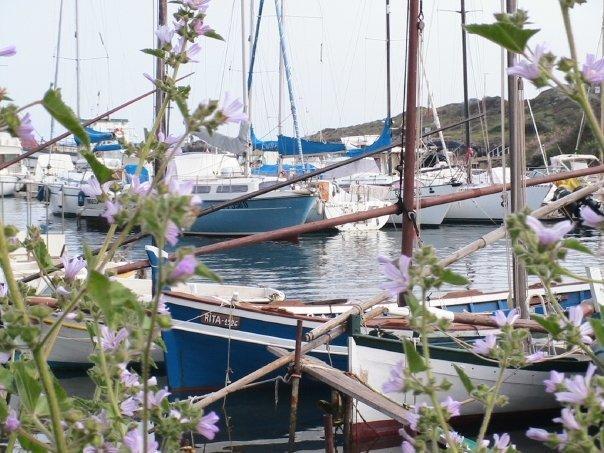 B&B La Reale Stintino Εξωτερικό φωτογραφία